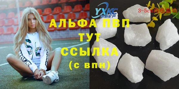 спиды Арсеньев
